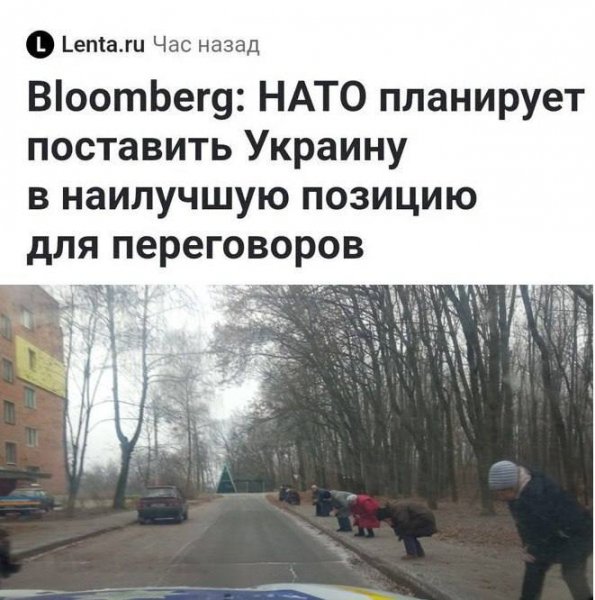 Они уже и сами встали