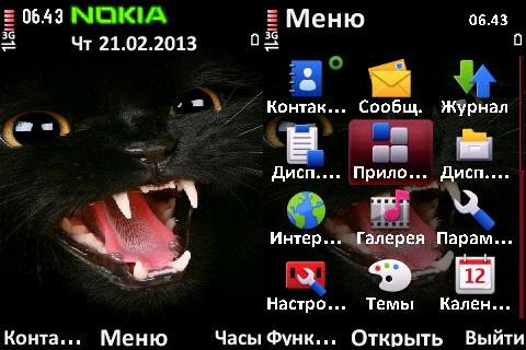 wild cat
