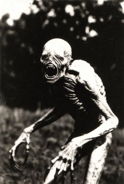 EDTRHUTHJGFRFGS17DFF