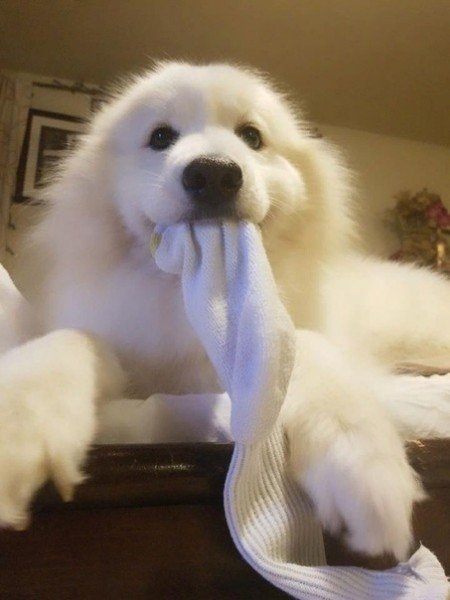 file_75323897