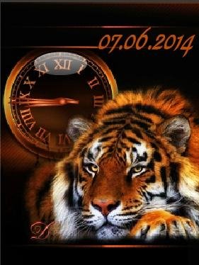Тигр аналоговые часы дата