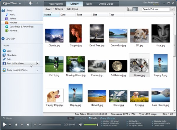 RealPlayer