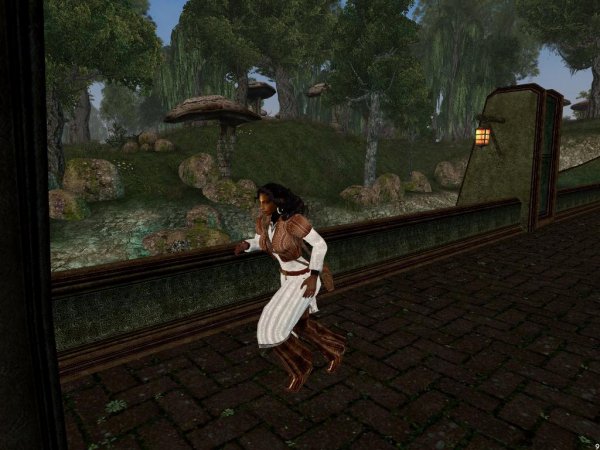 Морровинд новые анимации хоть бы и бега мод