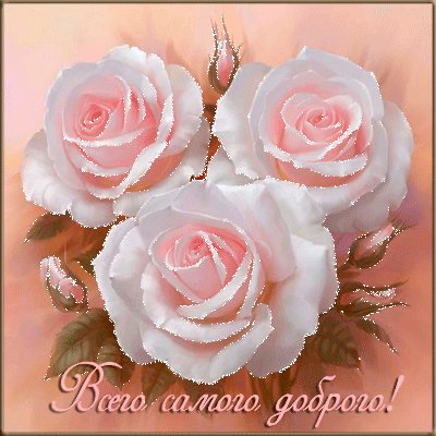 wap sasisa ru Vsego samogo dobrogo