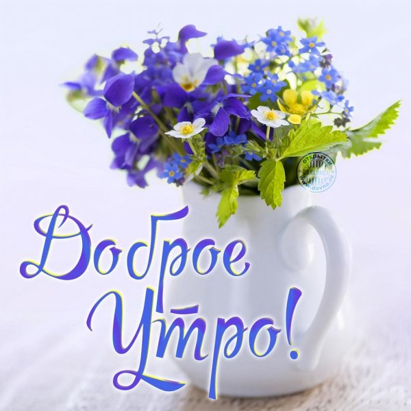 Доброе утро!