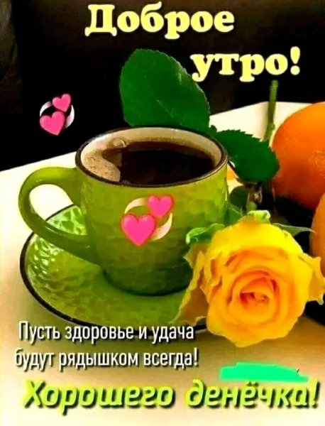IMG 20260221 021148