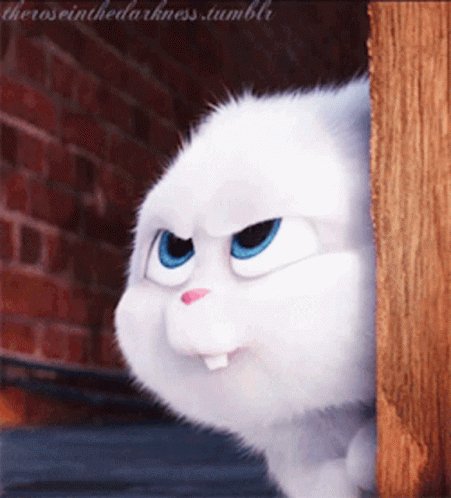 Secret Life Of Pets Snowball GIF - SecretLifeOfPets Snowba