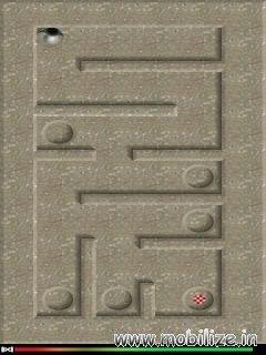 micro maze
