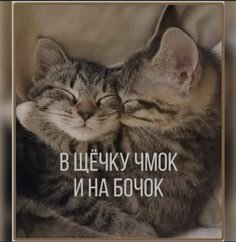 c55185fd8925ae391cd1310d8d19