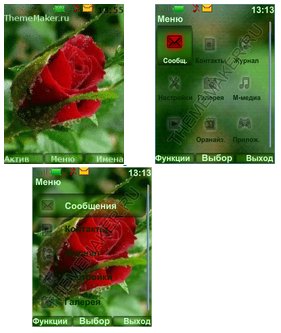 Utrennyaya roza (havafara)