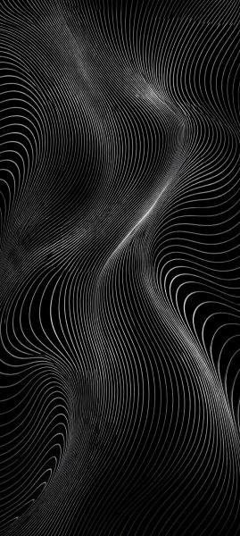 adapted 1080x2408 1772893884