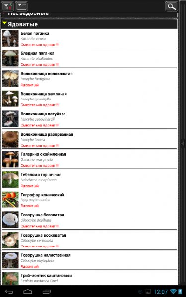 Грибы..Советник.v.1.03.b.4