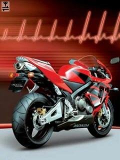 Suzuki moto