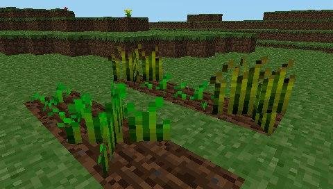 Minecraft PSP edition (1)