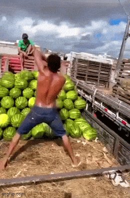 Укладчик арбузов