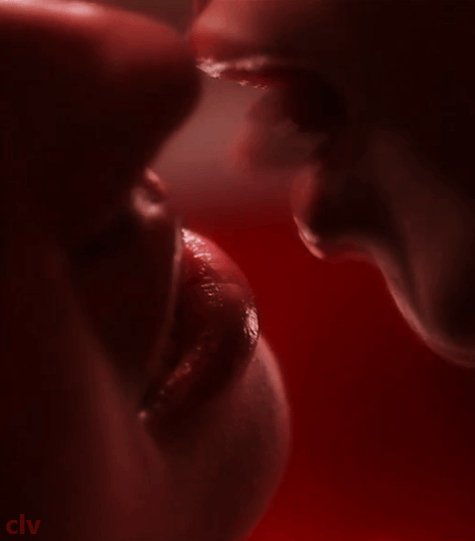 2ca9c296cf22ae155afad80ea642525c 316217 si 1609177122