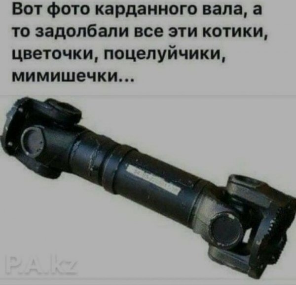 Screenshot 20220211-223147 Samsung Internet