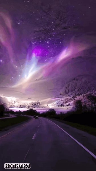 file_95277668