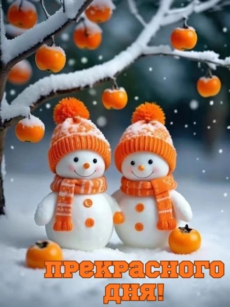 IMG 20260105 102248 766