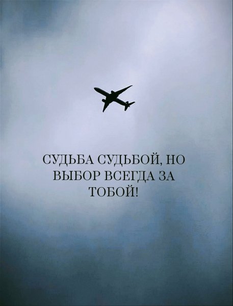 AKZ1NLK9LyNP8U1lkcWYnbV-G6iu0mRTqo5knw1nhfH-Tkeif0 Sh-UdIcaL