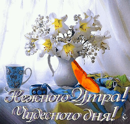 чудесного дня