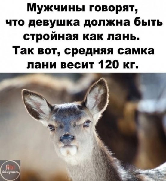 FB IMG 1775324677006