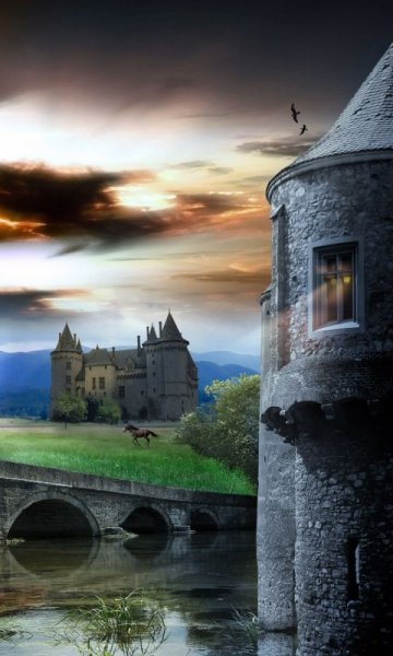 wallpaper 480x800 11 49