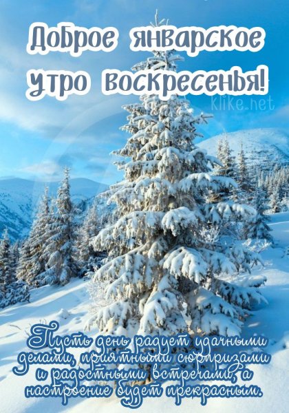 Доброе январское утро воскресенья! ...