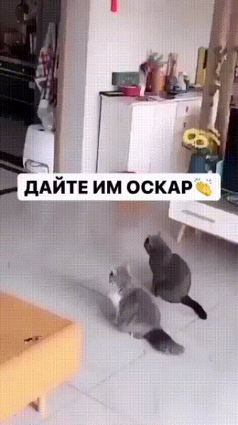 IMG 20221008 012114