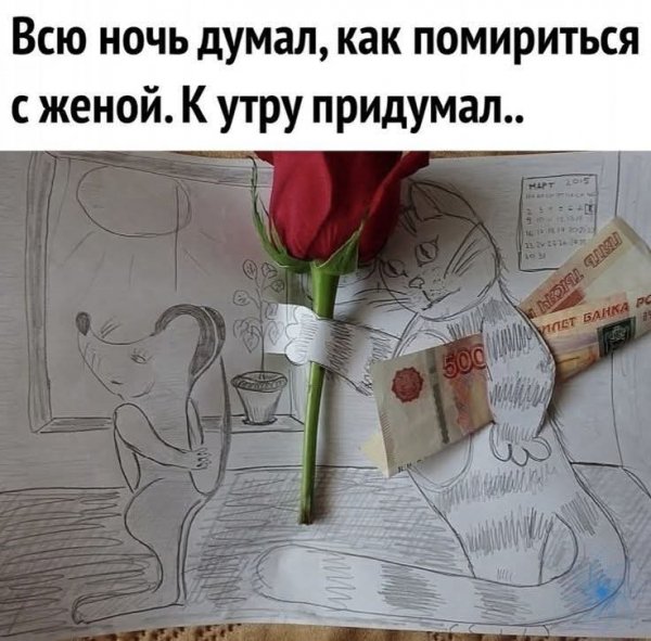 FB IMG 1774941316101