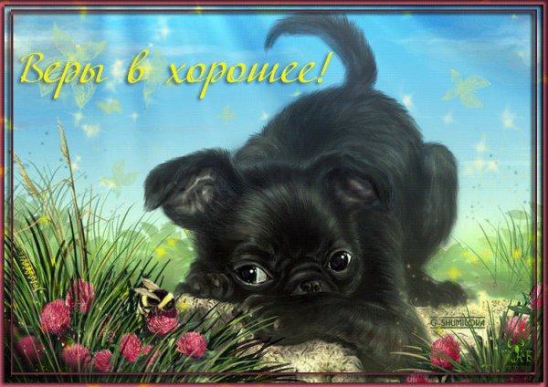 Веры в хорошее!