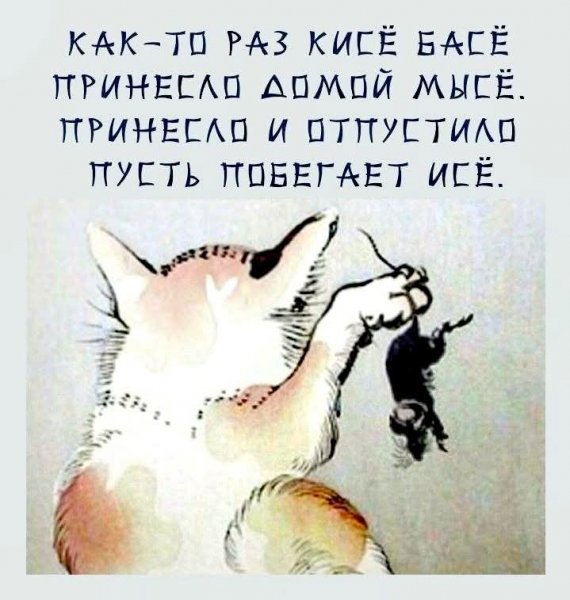 FB IMG 1773214917424