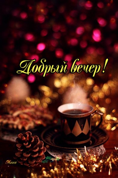 Ac5bcc85448442c3eebd5ef0634b31e8 1703766602