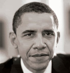 Рожа бандерложъя