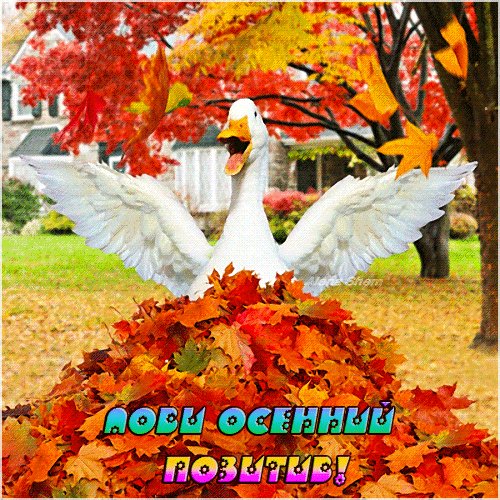 Doc527634230 573600307