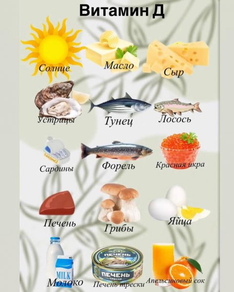 FB IMG 1750672655589