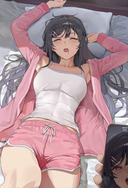 Seishun Buta Yarou wa Bunny Girl Senpai no Yume wo Minai