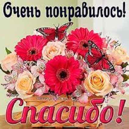 СПАСИБО! Очень понравилось!