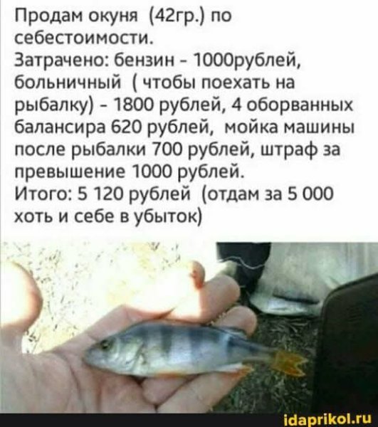 FB IMG 1777750502701