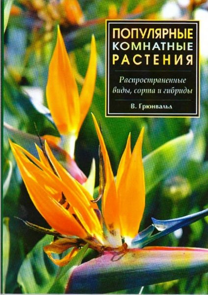 Популярные комнатные растения - 2006