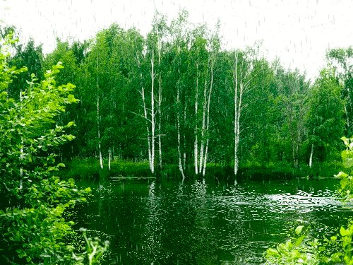 c81ab1a5a614d425bab0ad8fb6e37