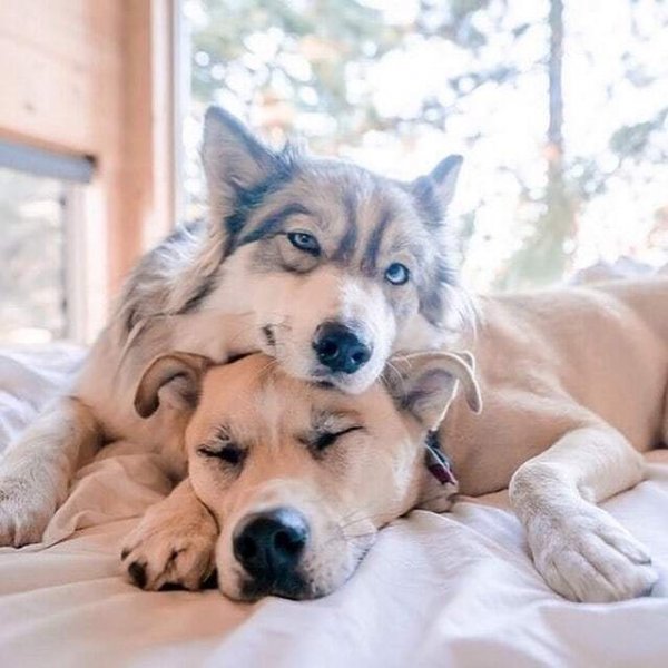 MOF93879BWETUSFGHJZCVBN