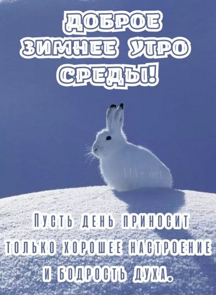 Доброе зимнее утро среды! ...
