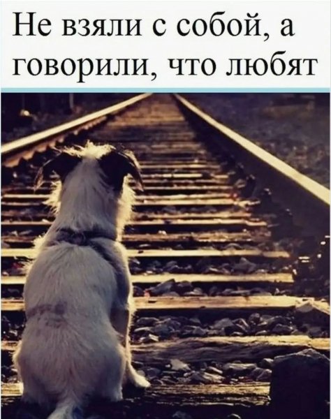 FB IMG 1774124205387