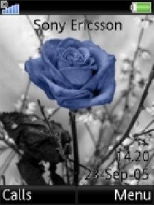 birth of a blue rose 4.5