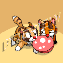 file_502923