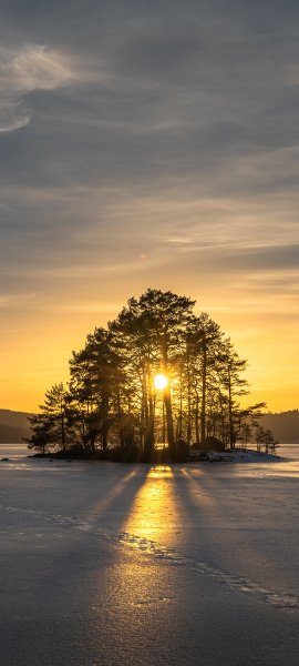 file_101656939
