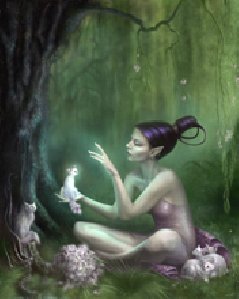 fairy elven