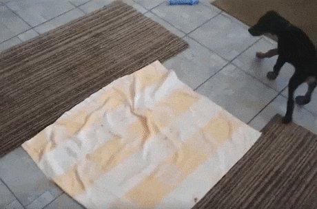 юмор