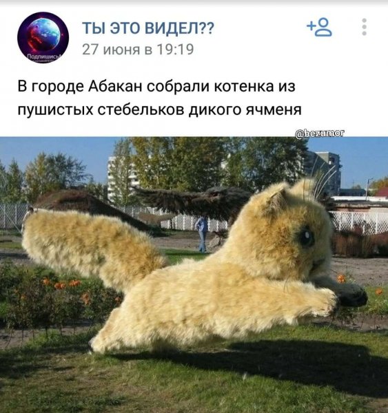 IMG 20210226 182152 592